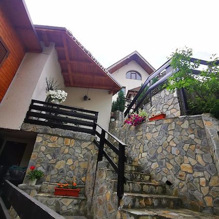 Casa Flandria Hotel ซินายา ภายนอก รูปภาพ