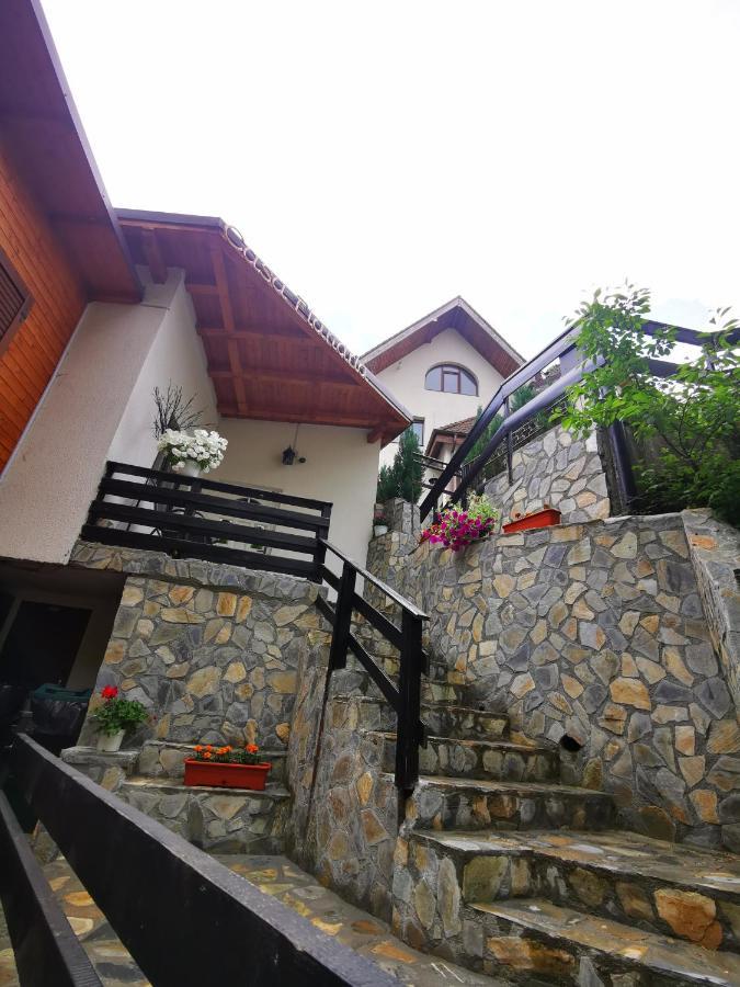 Casa Flandria Hotel ซินายา ภายนอก รูปภาพ