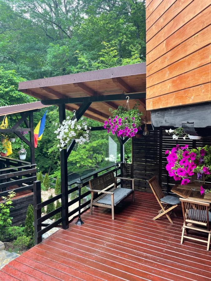 Casa Flandria Hotel ซินายา ภายนอก รูปภาพ