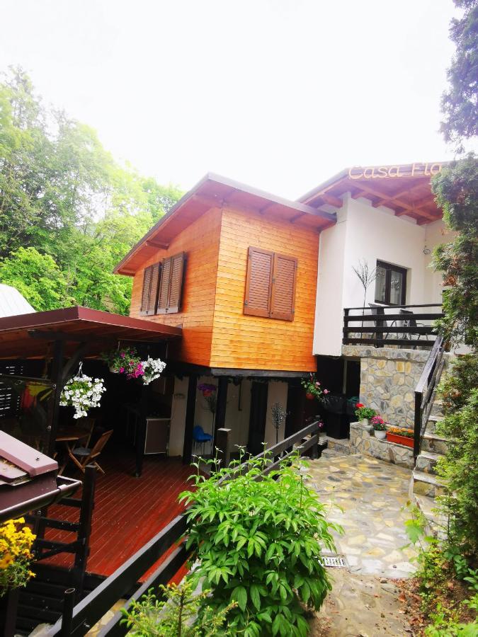 Casa Flandria Hotel ซินายา ภายนอก รูปภาพ