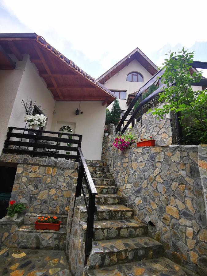 Casa Flandria Hotel ซินายา ภายนอก รูปภาพ